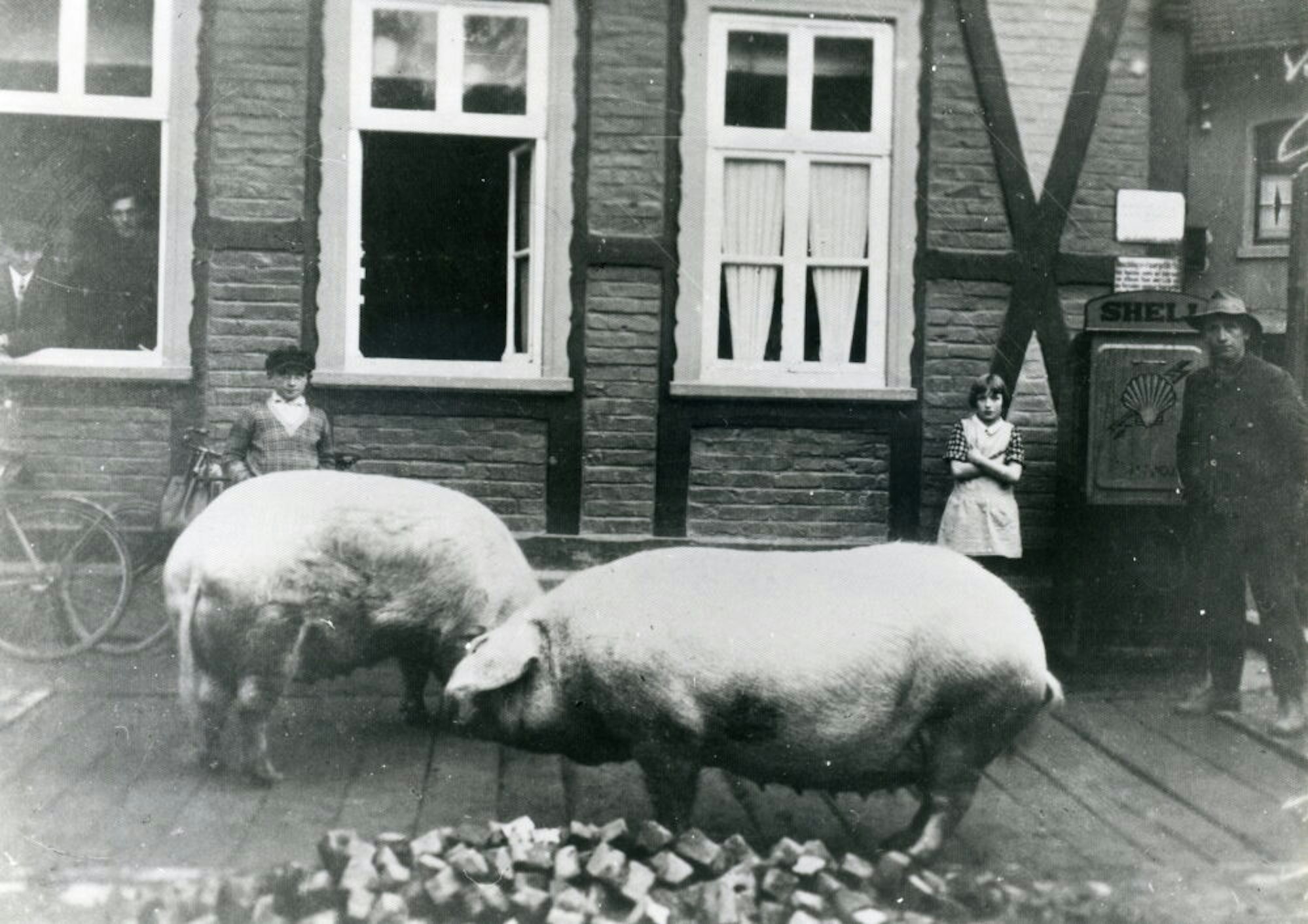 Die Bronzeschweine auf dem Rathausvorplatz erinnern an die Tradition des einstigen Viehmarktes. Pate für die Skulpturen standen die Schweine, die Ende der 1920er vor dem ehemaligen Hotel Brück auf der Waage standen.