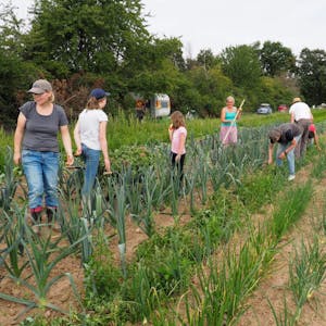 Viele Mitglieder der GbR Bürger machen Landwirtschaft helfen bei der Arbeit auf den Feldern mit.