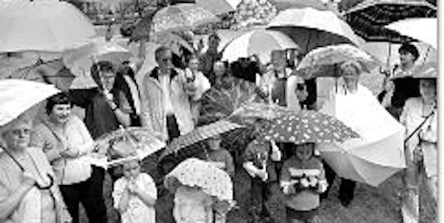 Schirm gezeigt: Immerhin zwei Dutzend große und kleine Aktivisten setzten am Samstag im Stadtpark ein Zeichen und beteiligten sich an der Kunstaktion "more umbrellas".