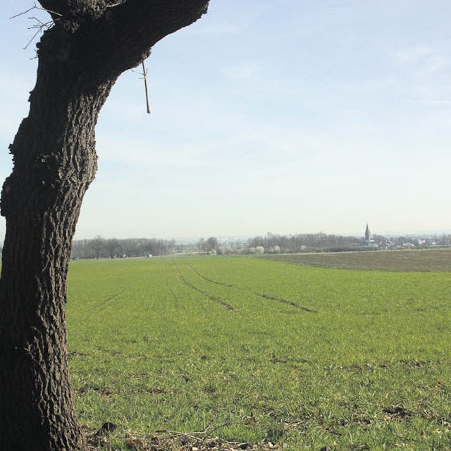 Zwischen B 266 und Burg Veynau befinden sich zurzeit noch Ackerflächen. In zehn Jahren könnten sich dort möglicherweise größere Firmen ansiedeln.