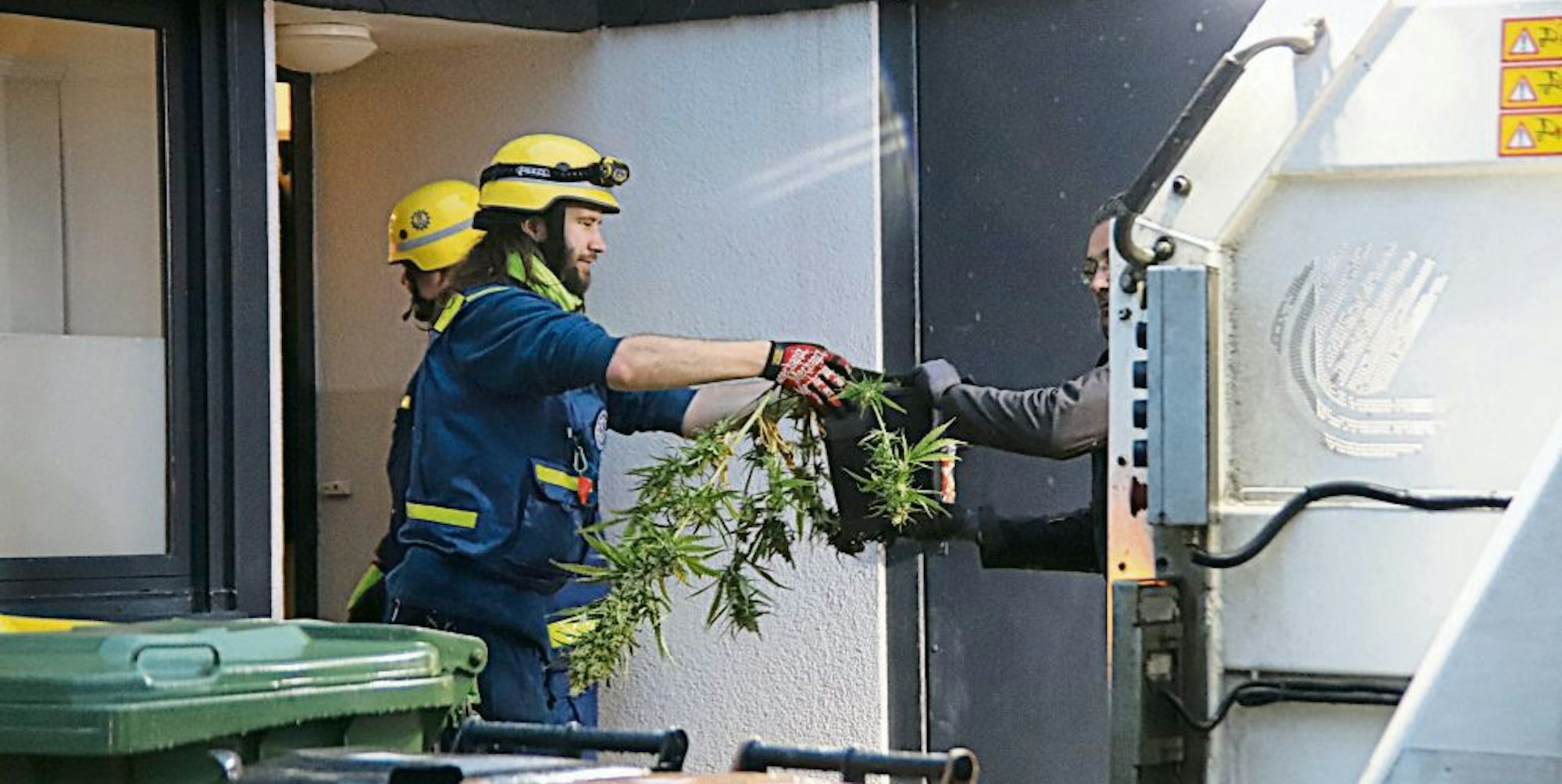 THW und Kripo transportierten die Cannabispflanzen im Januar 2020 ab.