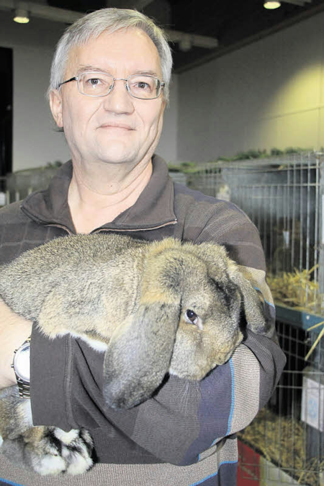 Bernd Gruber (53) zeigt stolz sein preisgekröntes Kaninchen der Rasse Kleinwidder, das im Januar 2017 geboren ist.