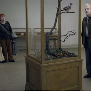 „Eine Taube sitzt auf einem Zweig und denkt über das Leben nach“ von Filmemacher Roy Anderson
