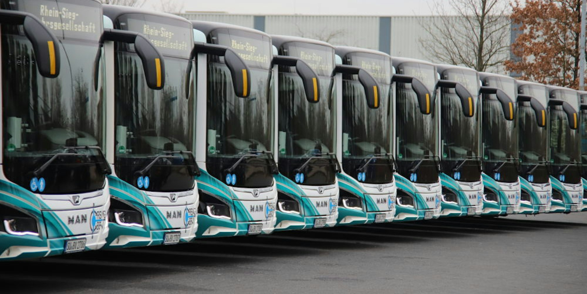 Die Hybrid-Busse fallen durch ihr neuartiges Design besonders auf.
