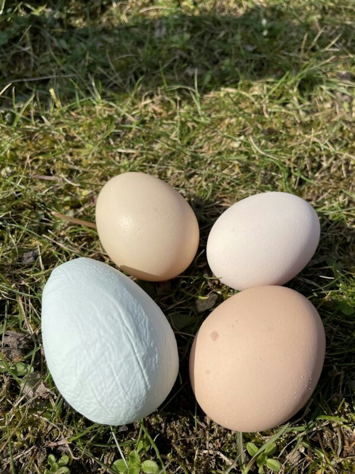 Bunte Eier, ganz ohne Farbe.