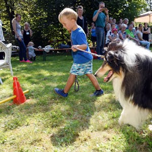 Und dann alle nachmachen: Skylar (4), der Enkel von Hundezüchterin Annette Ohl, führt vor, wie der Parcours zu meistern ist. 