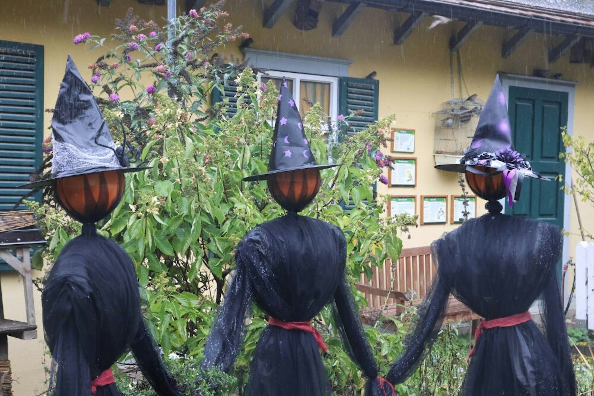 Was wäre Halloween ohne Hexen und die Rufe der Kolkraben? Dunkle Gestalten sind in Eckenhagen gelandet. 