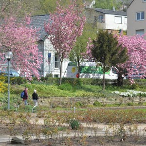 Rosengarten-Park