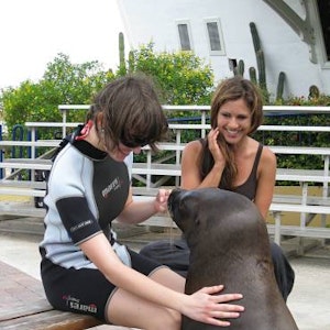 Stephanie Rudolph (l.) ganz vertraut mit einem Seehund. RTL-Moderatorin Nazan Eckes durfte sie bei der Therapie auf Curacao begleiten.