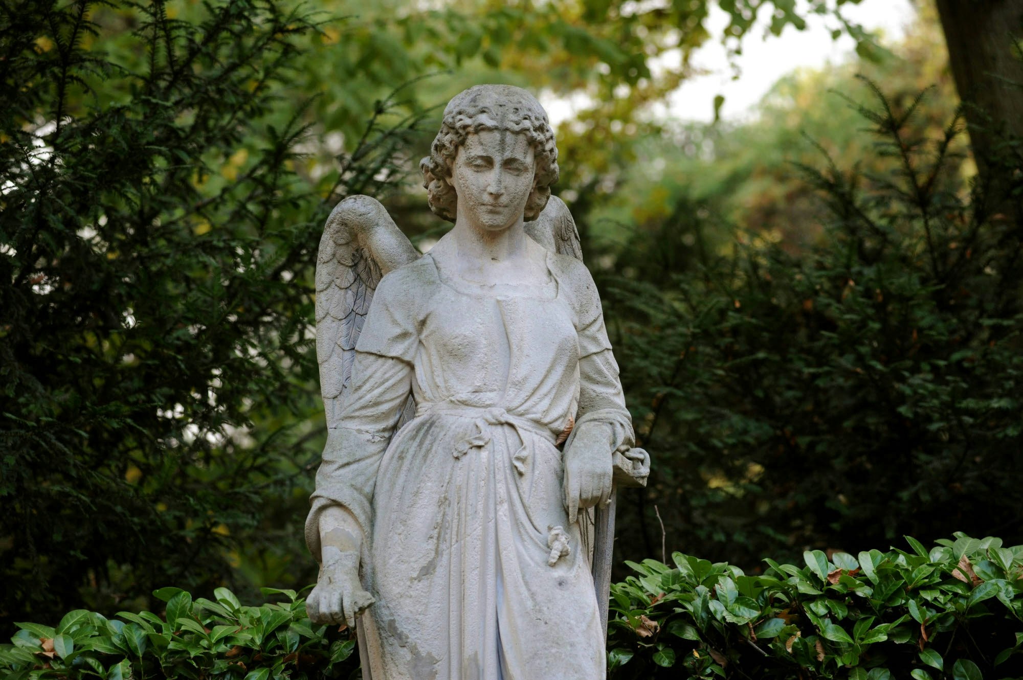 Ein Engel auf dem Melatenfriedhof