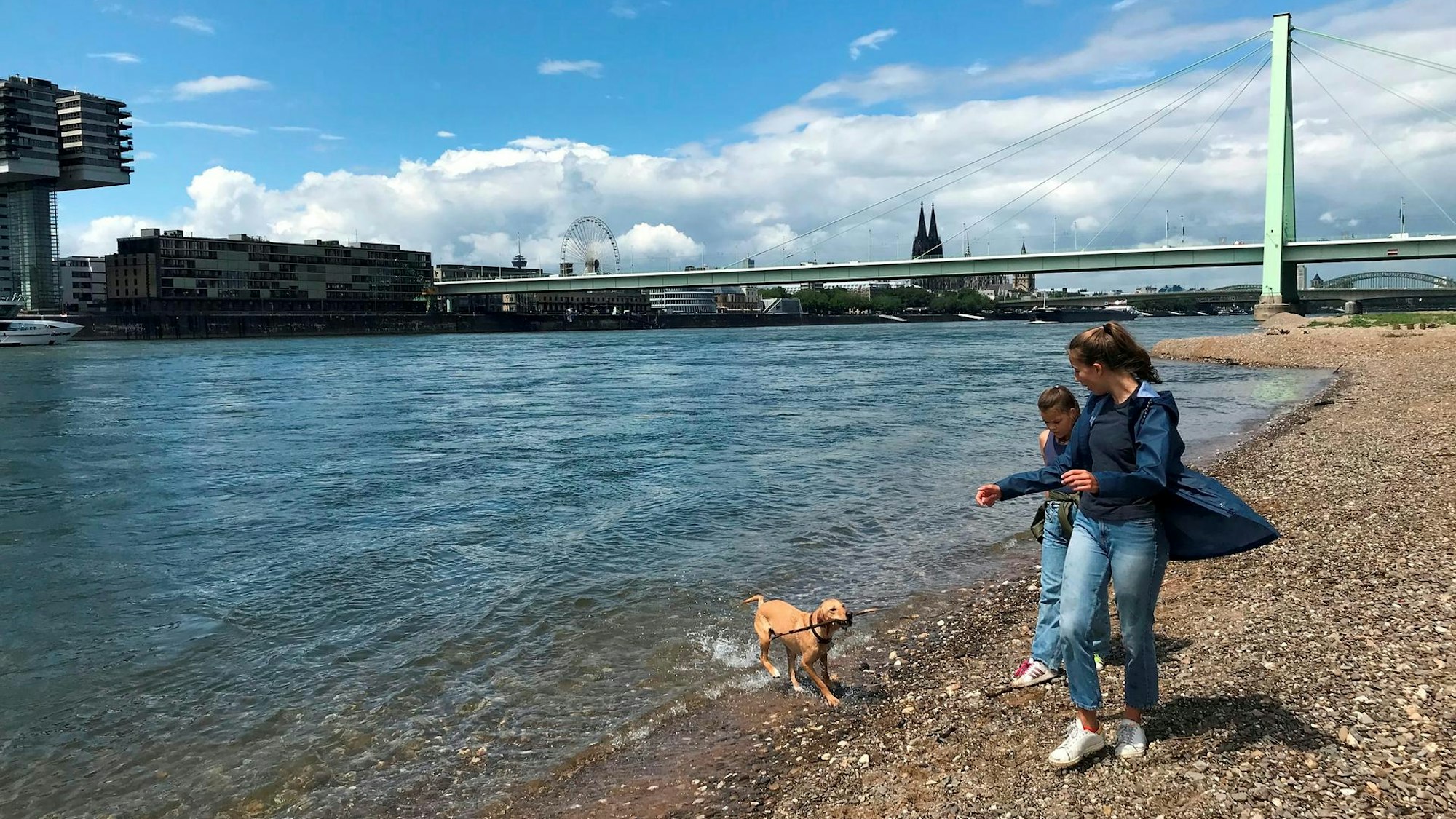 Ein Spaziergang über die Pollerwiesen bietet viel Platz und wunderschönes Köln-Panorama kostenlos dazu.