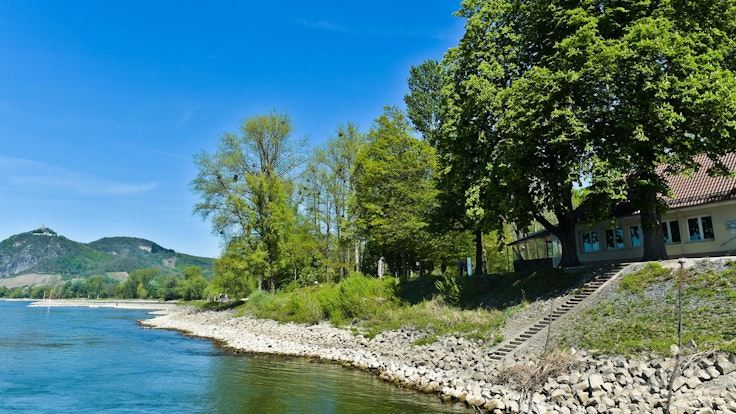Das Ufer der Insel Grafenwerth mit Blick auf viel Grün und ein Restaurant.