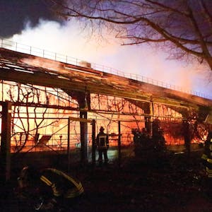 Krefeld brennendes Affenhaus