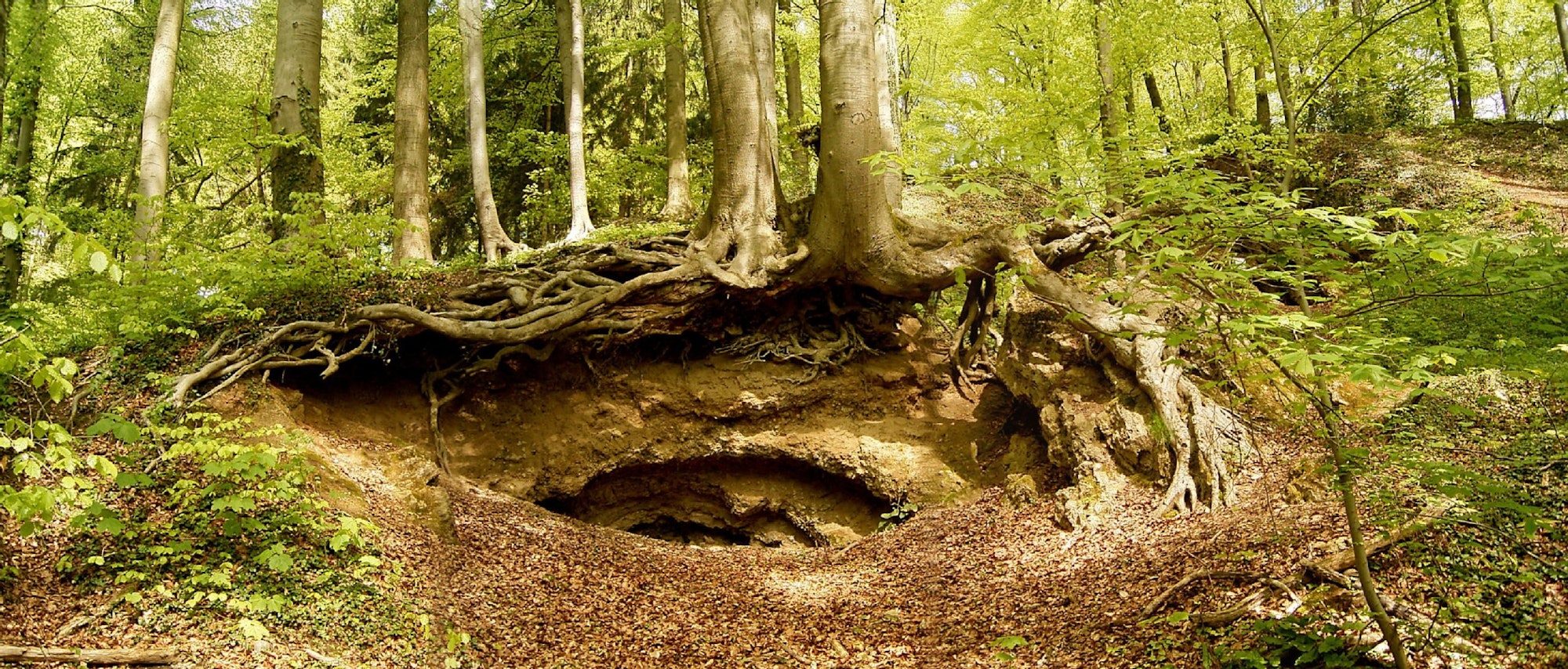 Die Zwergenhöhle bei Herrenstrunde ist heute als Naturdenkmal eingetragen.