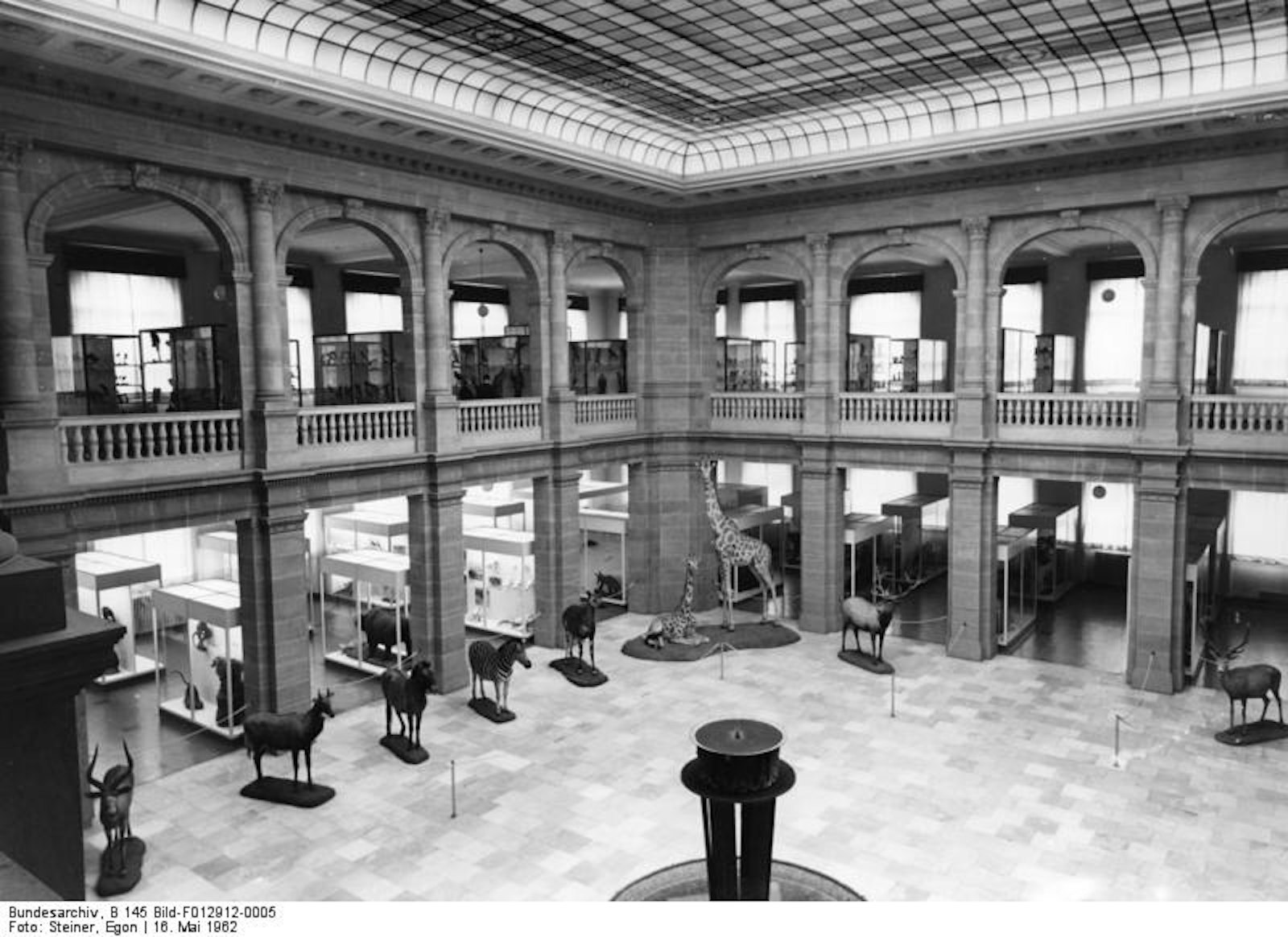 Museum König Bundesarchiv_Bonn Wiki 3.0 Steiner, Egon