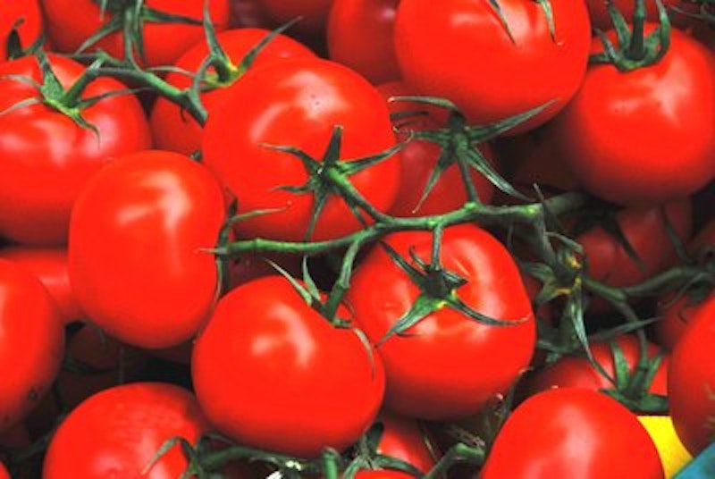 Eine kräftige Tomaten-Salsa passt zu Stockbrot und Nudeln.