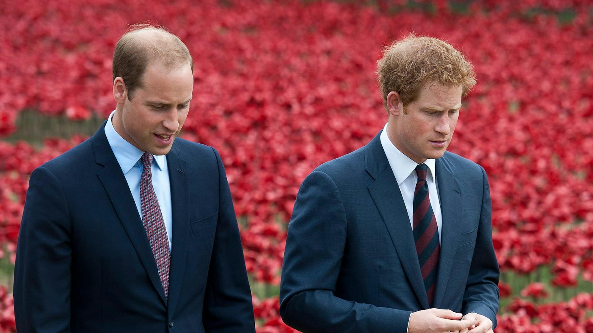 Prinz William und Prinz Harry vor einem Feld mit roten Tulpen.