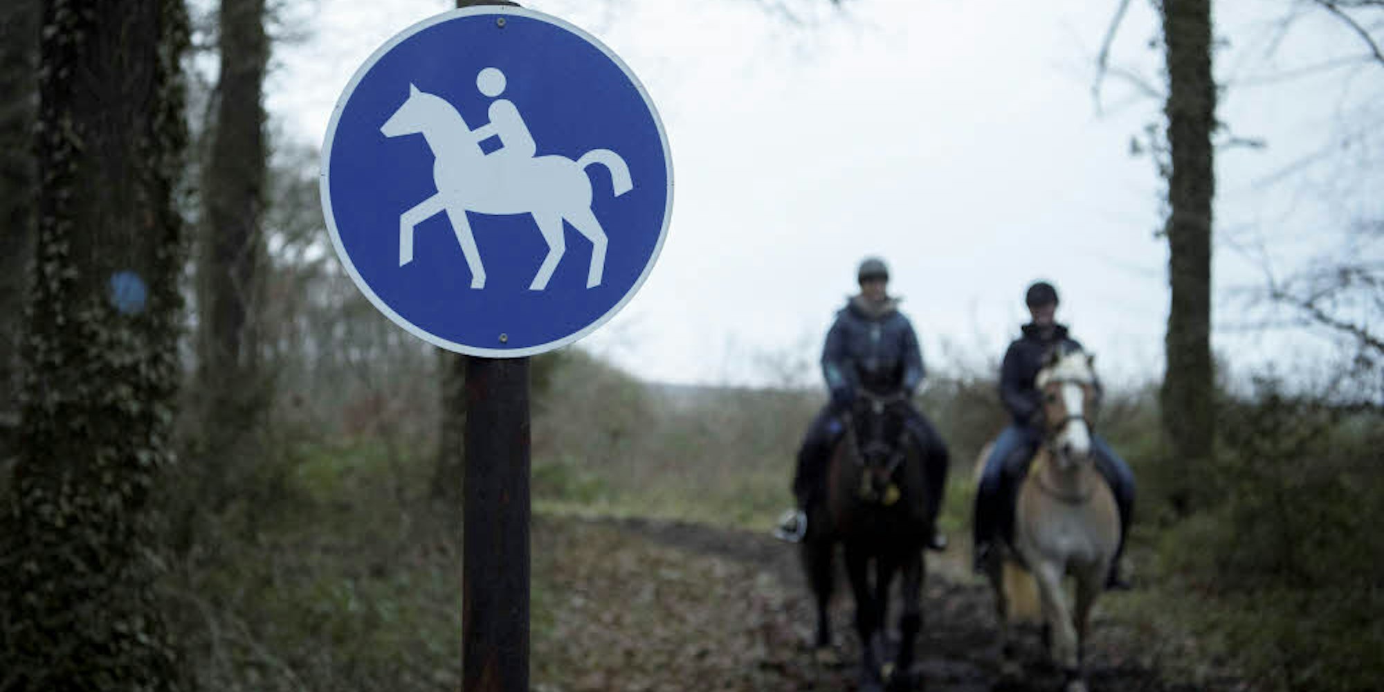 Die mit dem runden, blauen Schild gekennzeichneten Reitwege dürfen nur von Reitern und ihren Pferden genutzt werden.