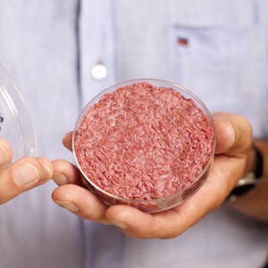 Der erste im Labor gezüchtete Burger – das er auf den Markt kommt, dürfte laut Experten wohl noch 50 Jahre dauern.