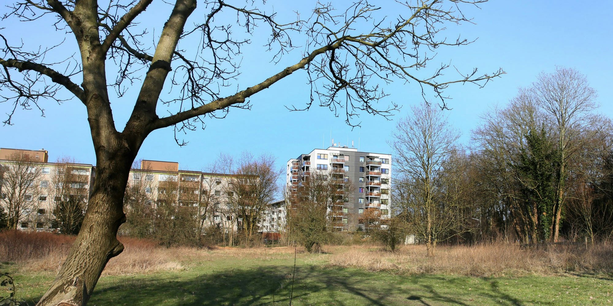 Auf diesem Gelände in Zollstock soll das neue Wohnheim entstehen.