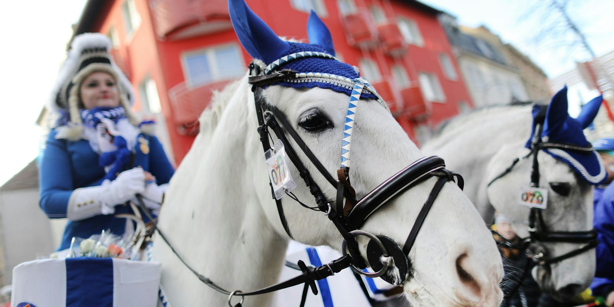 RoMo Pferd 2018 Köln dpa