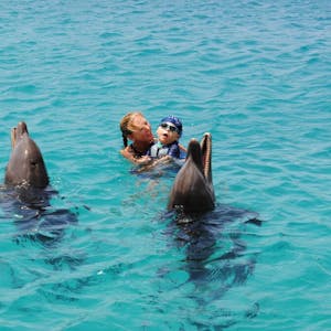 Delfine haben ein Feingefühl für Menschen mit besonderen Bedürfnissen und eine besondere Beziehung.
