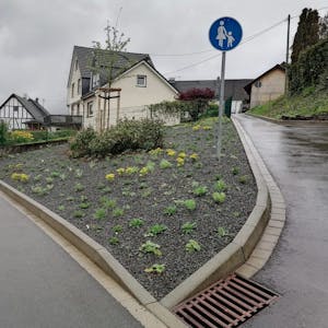Die Bepflanzung der Schotterfläche am Plütenhöfchen in Oberbantenberg kostete 4000 Euro.