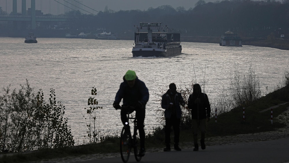 Ein Angler machte eine unfassbare Entdeckung im Rhein (hier ein Archivfoto von einer anderen Stelle am Rhein).