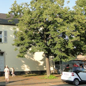 GGS Amandusstraße  (4)