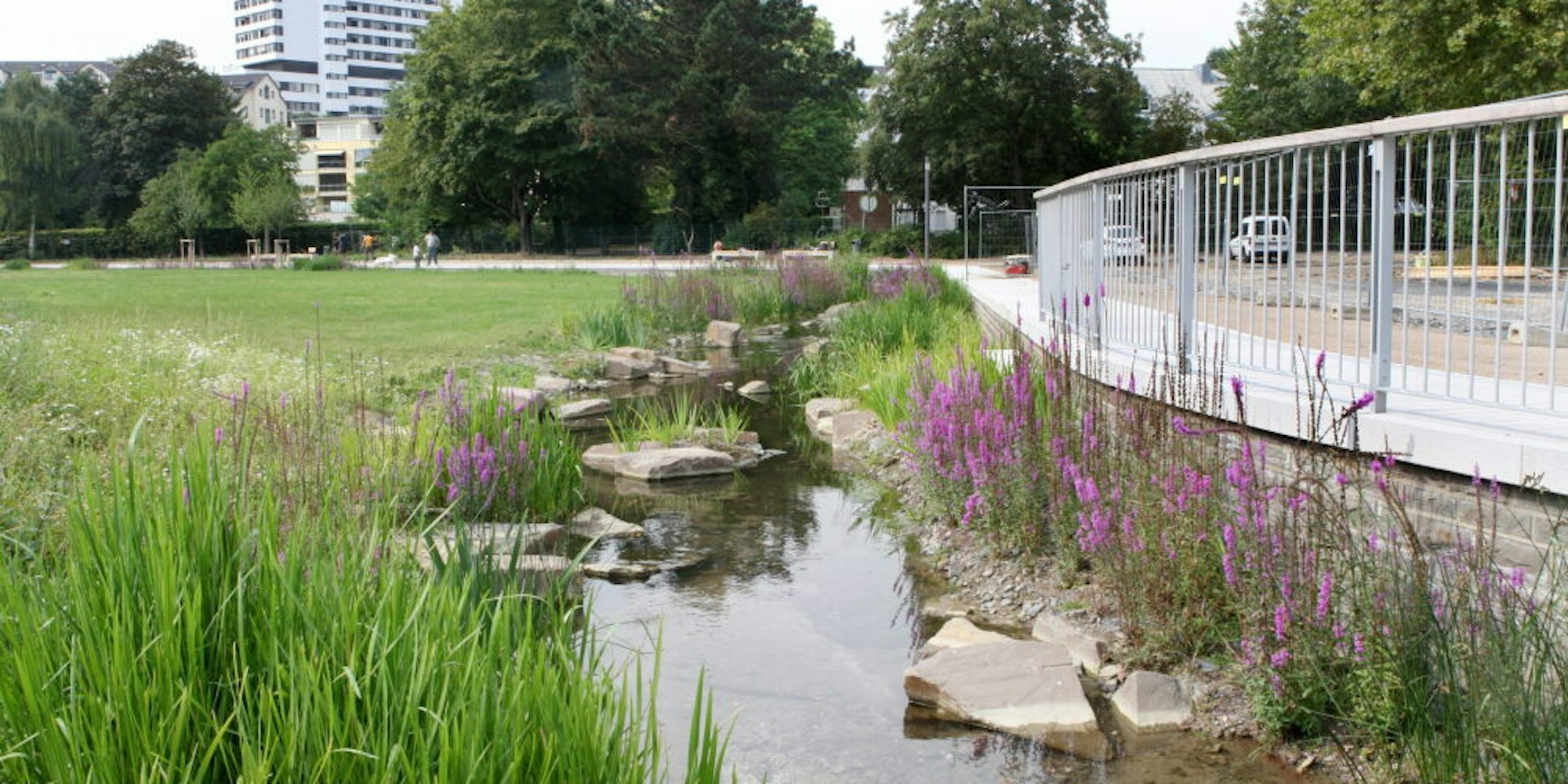 Statt des Forumparks prüft die Stadtverwaltung nun, ob im Buchmühlenpark die Anlage eines Boule-Platzes möglich ist.