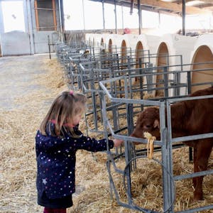 Die Kälbchen findet Tochter Klara van Kann, drei Jahre alt, wie wohl alle Kinder besonders süß. Sie gehören auf dem Milchvieh-Hof ihrer Eltern natürlich dazu.