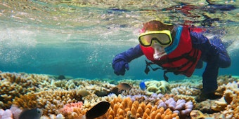 Wenn die Korallenriffe nicht geschützt werden, kann es bis zur Mitte dieses Jahrhunderts vorbei sein mit der Unterwasserschönheit.