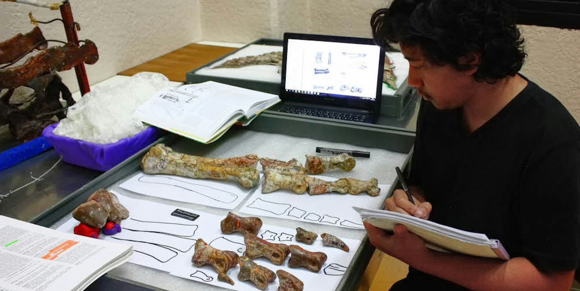 Der Paläontologe Adun Samathi, Doktorand an der Uni Bonn, analysiert penibel die Knochenfunde aus Thailand.