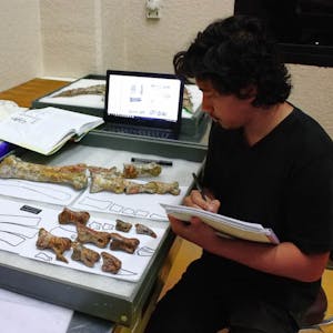 Der Paläontologe Adun Samathi, Doktorand an der Uni Bonn, analysiert penibel die Knochenfunde aus Thailand.
