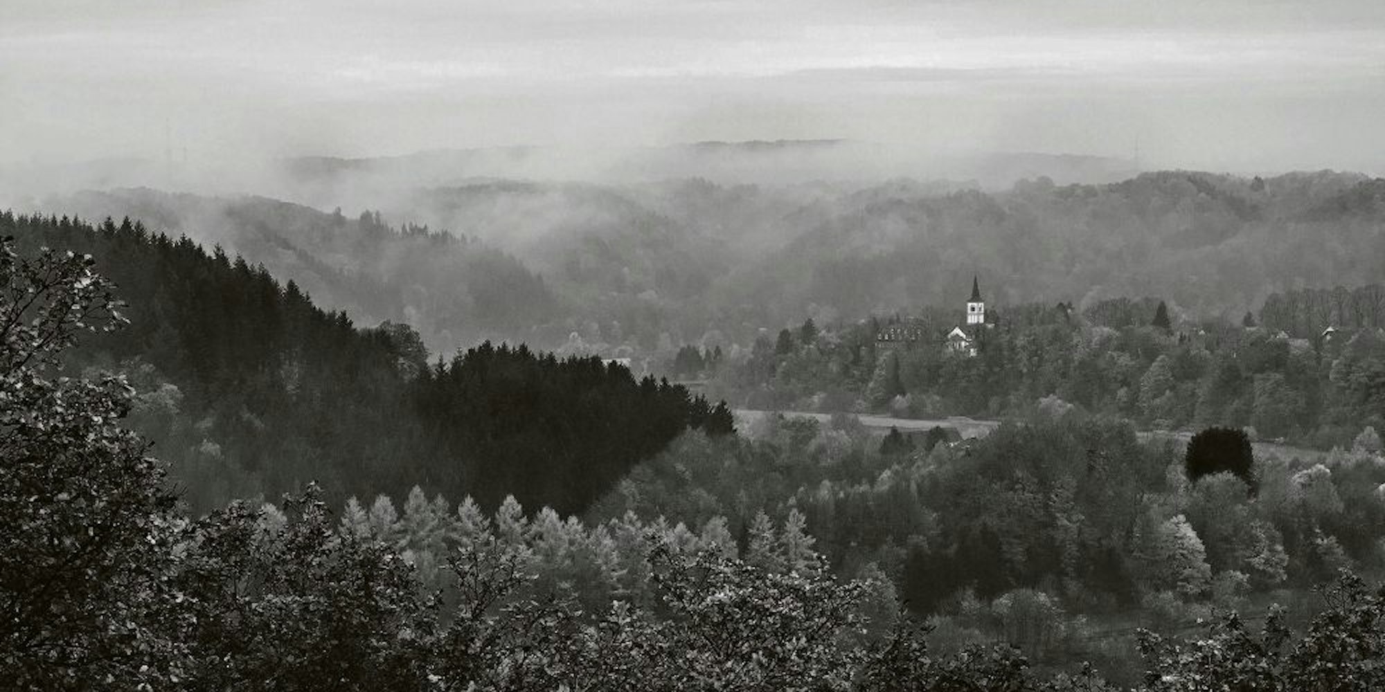 Blick auf Merten umgeben von Wald und Nebel, eine Aufnahme aus der Reihe Stille.