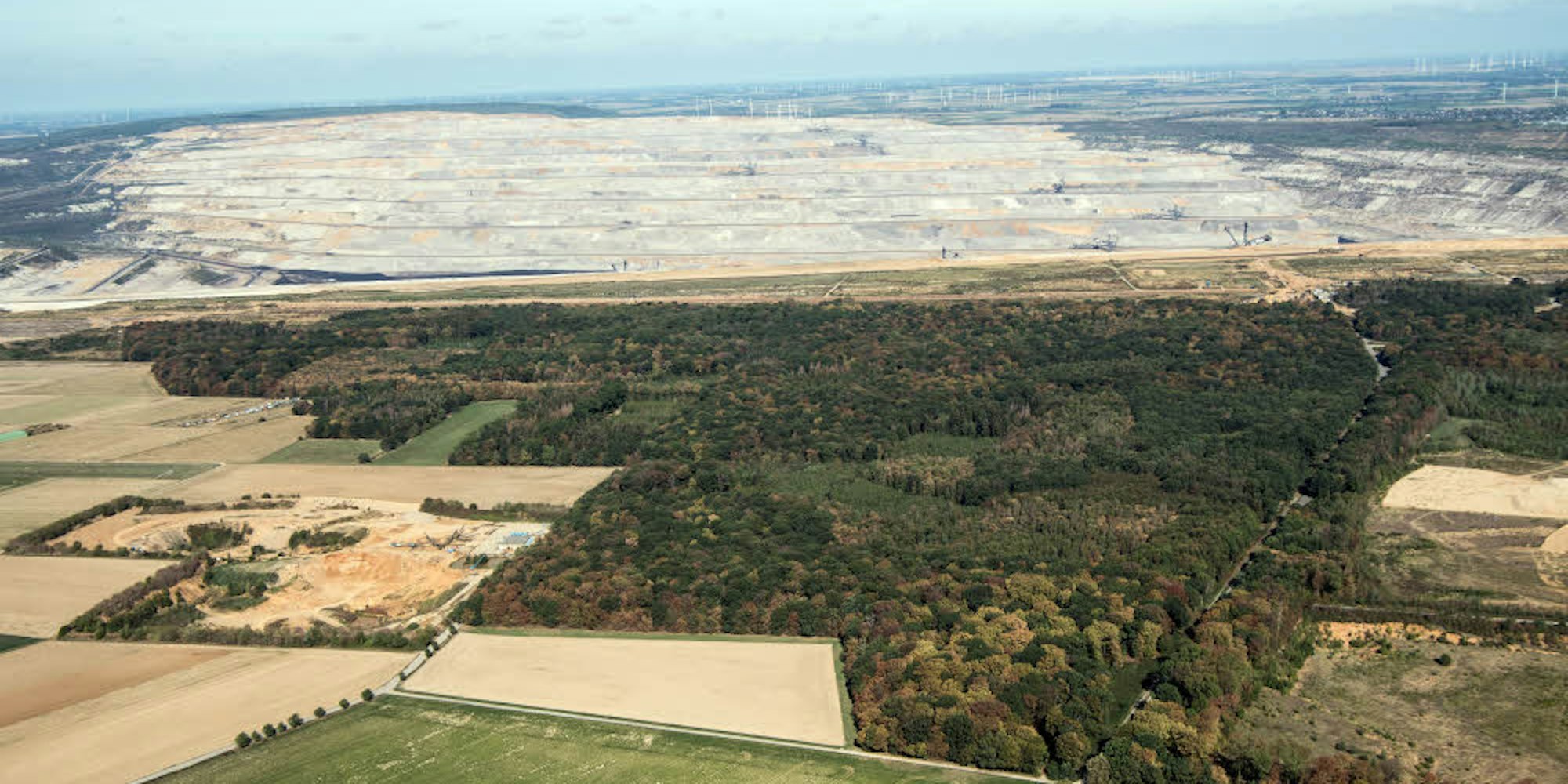 Der Hambacher Forst wird nach dem Urteil des OVG Münster wohl bis zum Jahr 2020 in der jetzigen Form erhalten bleiben.