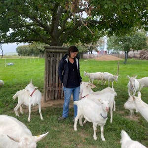 Katrin Buderaths Ziegenherde liefert nicht nur die frische Milch für die Herstellung des köstlichen Ziegenkäses, sie unterstützt auch hervorragend bei der pädagogischen Arbeit.