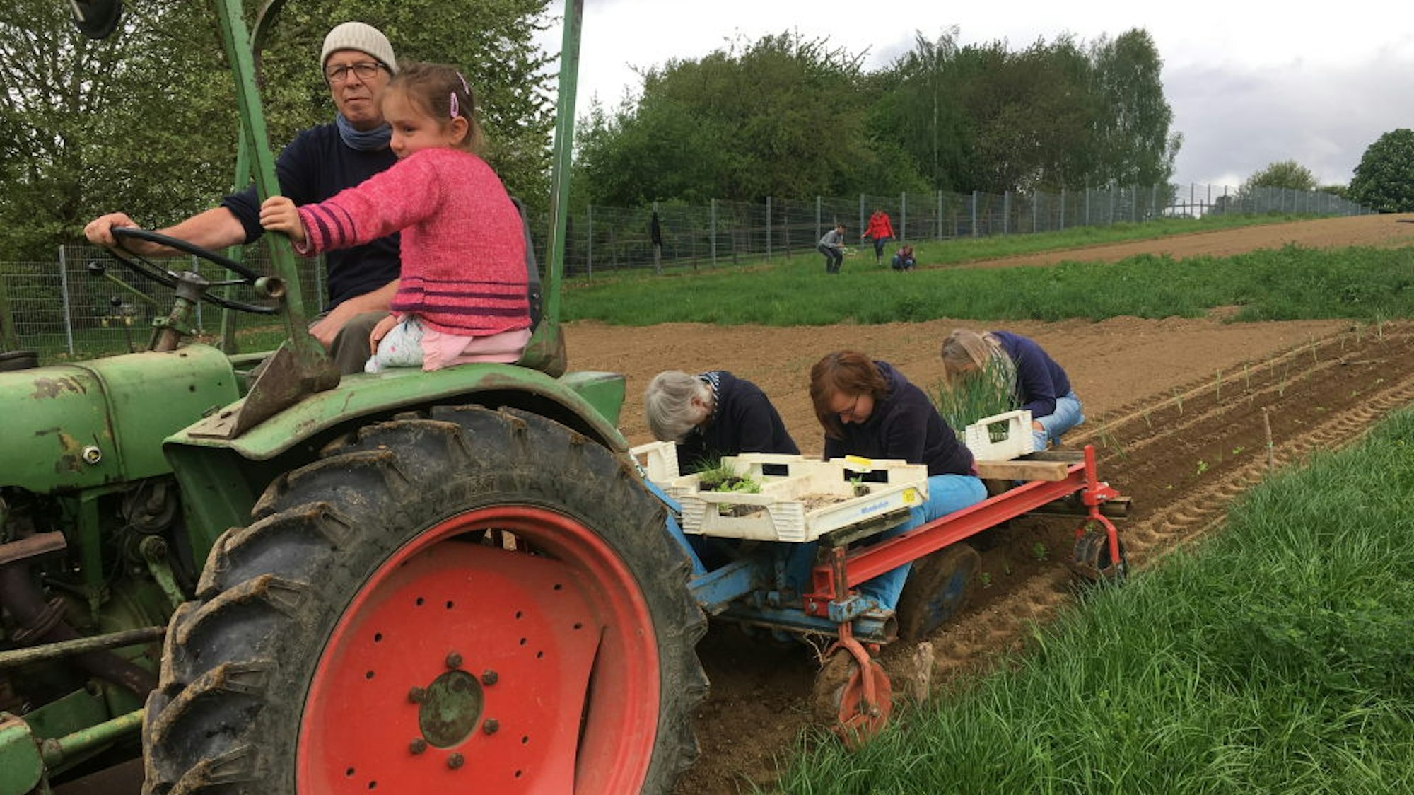 Reinhard Kamp (auf dem Traktor), Tanja Schlote und ein paar Helfer setzen Jungpflanzen auf dem Hellmese Hof.