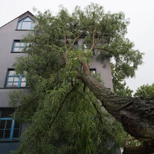 Unwetter Haus Baum Schaden