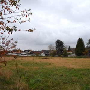 Auf dem Gelände der ehemaligen Gärtnerei am Huppertstaller Weg am Heppendorfer Ortsrand sollen 16 Häuser entstehen.