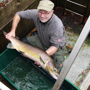 Man sieht dem Lachs an, den Denis Bock vorsichtig auf den Händen hält, dass er gesund ist. 113 Zentimer ist der Fisch lang. Das gab es bisher nur einmal an der Fangstation.