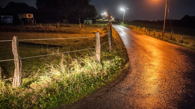 Straßenlampen leuchten nachts an einer kleinen Straße im ländlichen Bereich