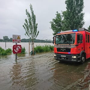Rettung von Frau und Hund aus dem Rhein