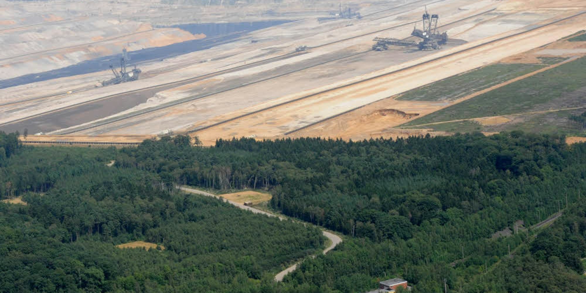 Der Hambacher Forst wird wegen des Tagebaus Zug um Zug gerodet. Dagegen protestieren Naturschützer und Anrainer.