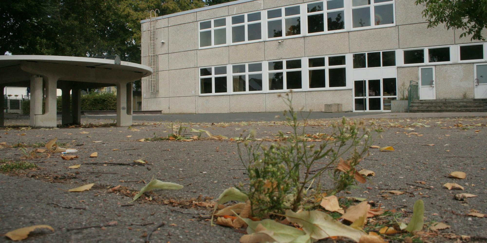 Bergheim_Hermann-Gmeiner-Schule
