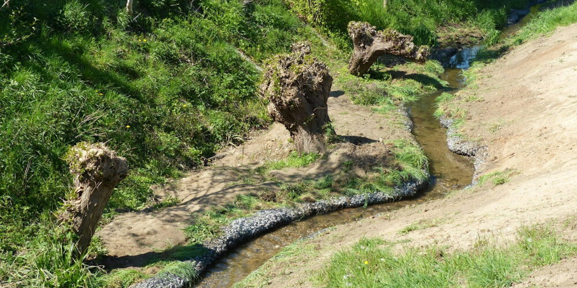 Am Hegelweg schlängelt sich der Pulheimer Bach wieder in Bögen. Die Steinwalzen stabilisieren die Ufer.