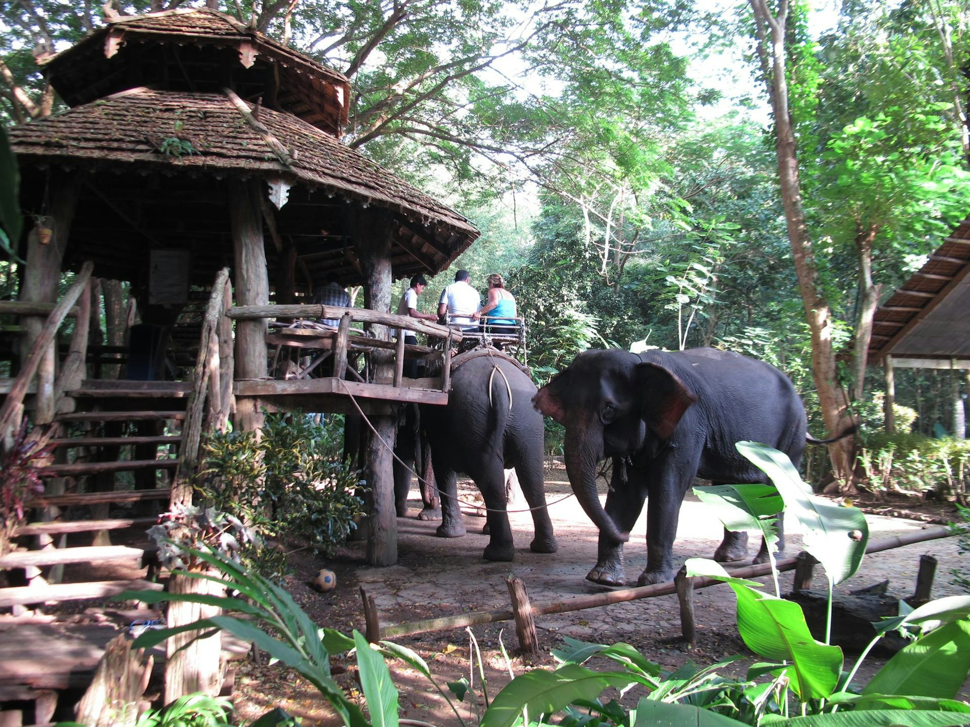 Elefanten-reiten-fuer-Touristen