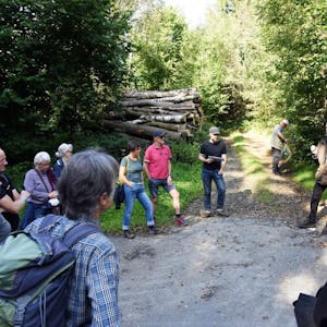 Beim Waldspaziergang der Grünen machte Rainer Ufer (r.) deutlich, welche verheerende Wirkung die Versiegelung und Verdichtung auf die Ökologie des Waldbodens hat.