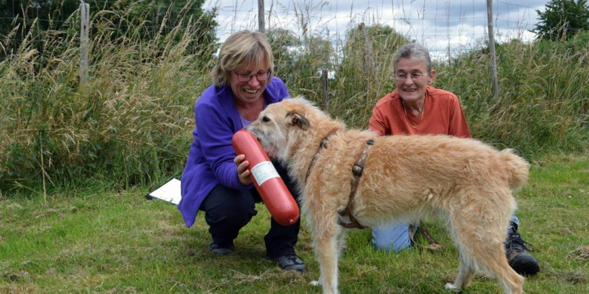 Heike Jung (l.) aktivierte ihr Netzwerk, um die Hilfe unter Hundehaltern zu organisieren.