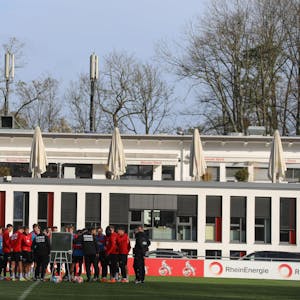Geißbockheim-FC-Training